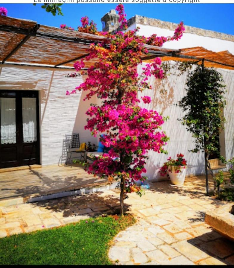 Room In Bb - Stunning Quadruple Room In Ancient Masseria Near The Sea In A Quiet Olive Trees Ostuni Luaran gambar